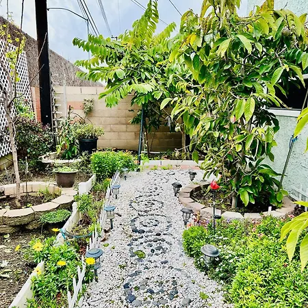 Cozy Modern Rose House * Garden Grove